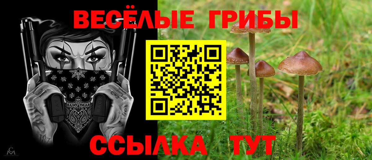 Волжский  Галлюциногенные грибы ЛСД  Вход с VPN 
